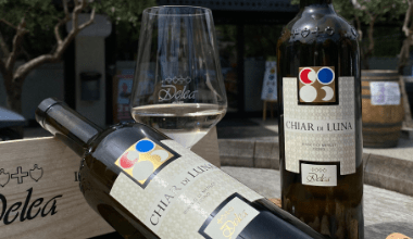 WHITE MERLOT: THE SPECIALTY OF TICINO | Vini Delea EU