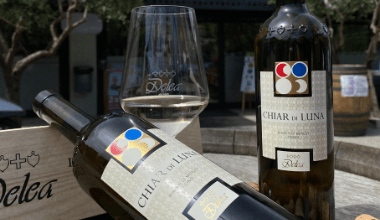 White Merlot: The Specialty of Ticino